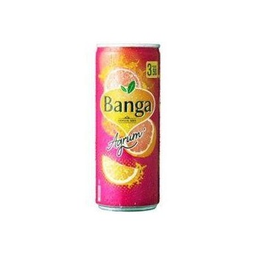 Banga boisson gazeuse sucrée Agrum canette 250ml