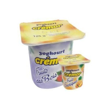 Crémor yaourt fruits des bois & fruits exotiques pot de 125g
