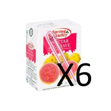Spring Valley nectar goyave 6x20cl